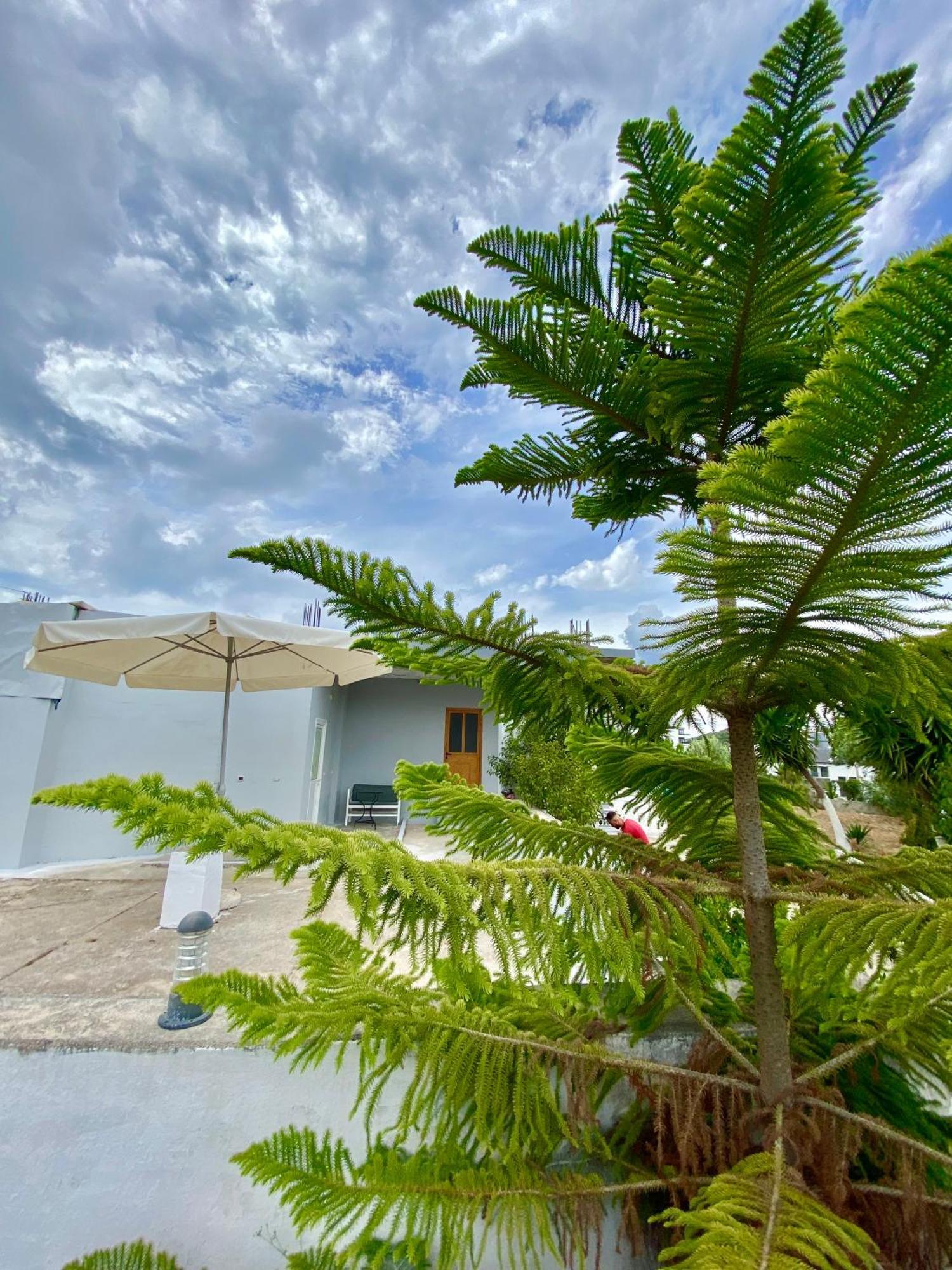 Casa de hóspedes Andres