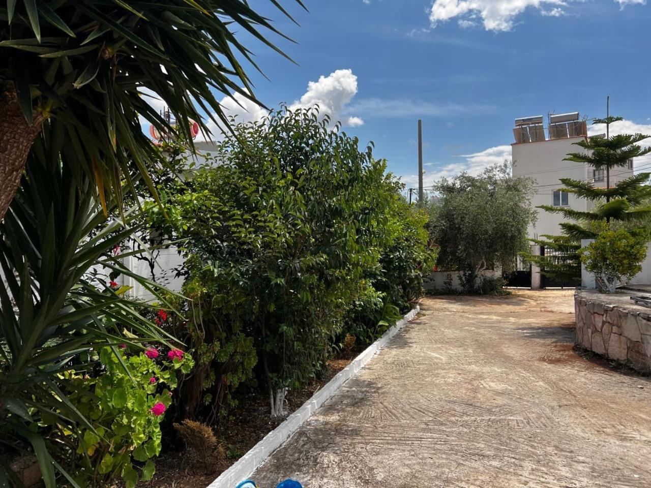 Casa de hóspedes Andres